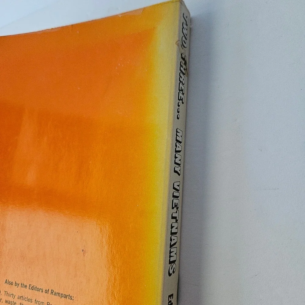 Two Three Many Vietnams: Radical Reader‎ Wars SE Asia by Garrett Barkley PB 1971